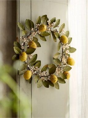 Anthropologie terrain Lemon Vine Iron Wreath